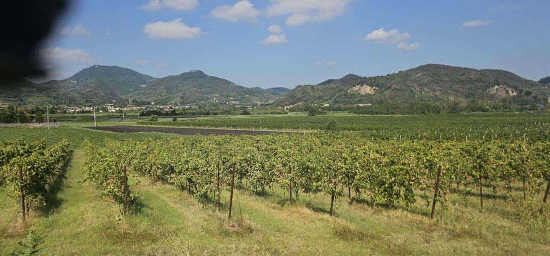 19/8/2026 Colli Euganei